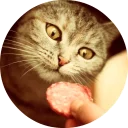 🐱