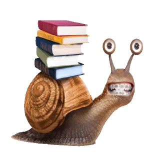 🐌