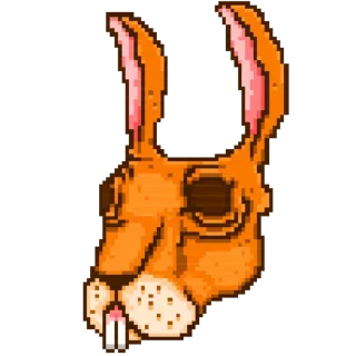 🐰