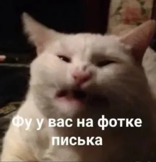 😠