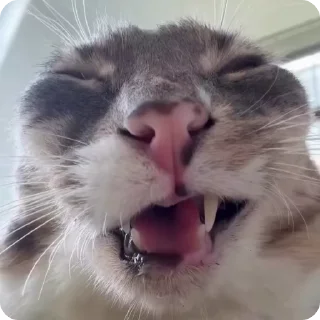 😂