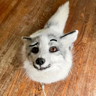 🤨