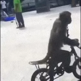 🚲