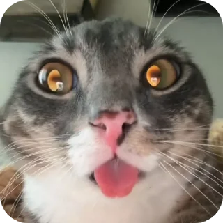 👍