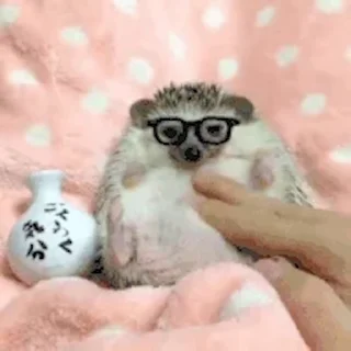 🦔