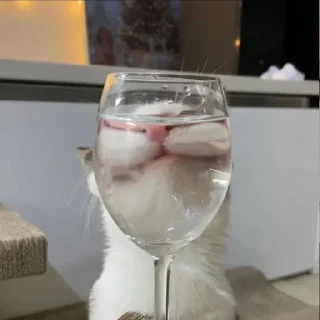 😏