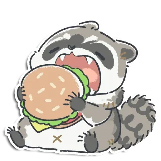🦝