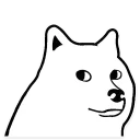 🐶