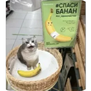 👟