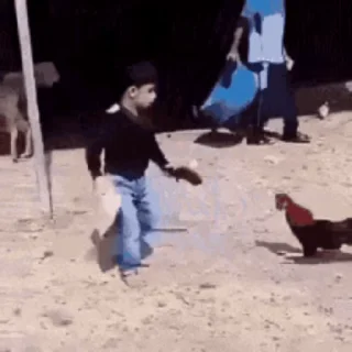 🐔