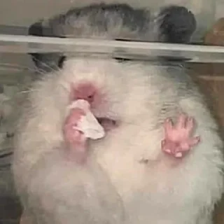 🤧