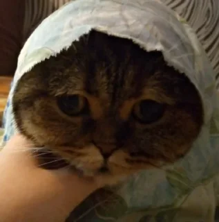 🛐