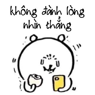 😿