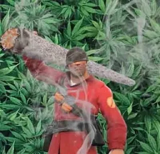 🌿