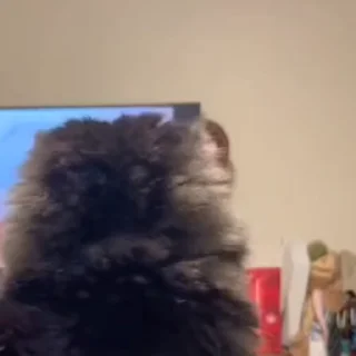 🤨