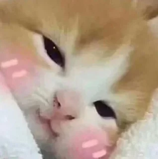 🥰