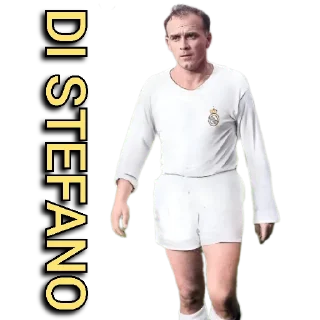 🤍