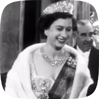👑