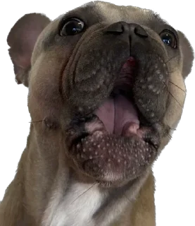 😨