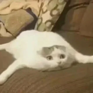 🥴