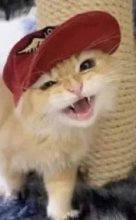 🧢