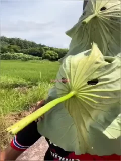 😶