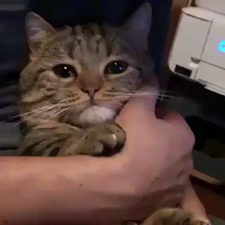 😞