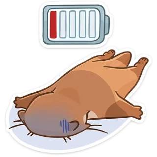 😴