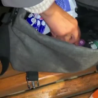 🐀