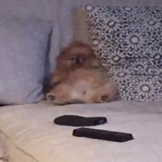 😴