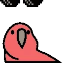 🦜