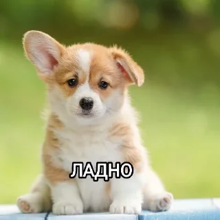 😑