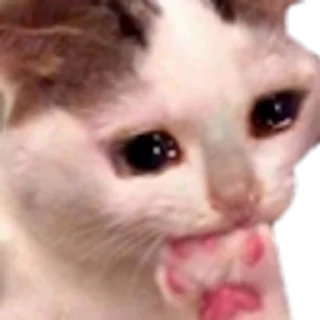🥺