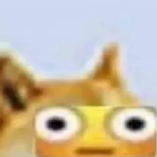😳