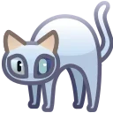 🐈‍⬛