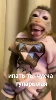 🌟