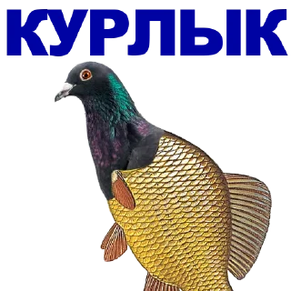 🐠