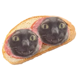 🥪