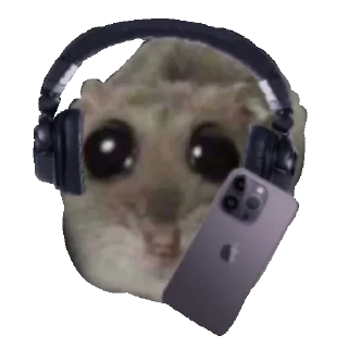 Homi4ok