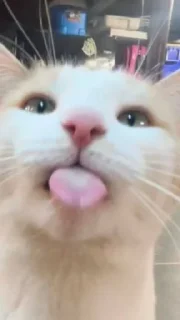 😛