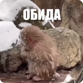 😒