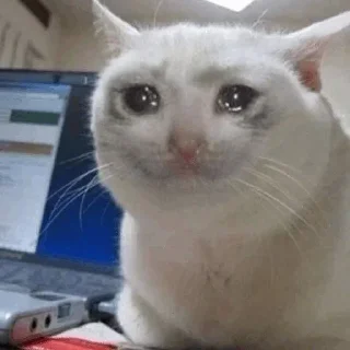 🥺