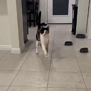 🥴