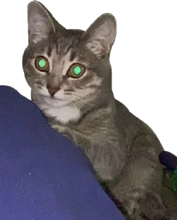 🔮