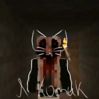 😽