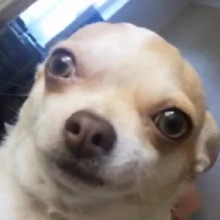 😳