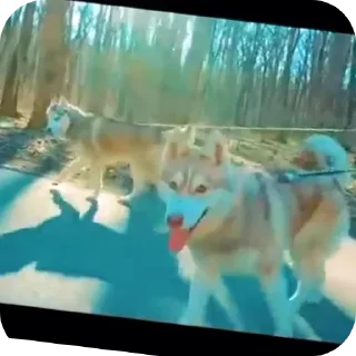 👍