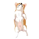 🐶