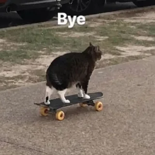 ✋