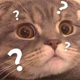 😳